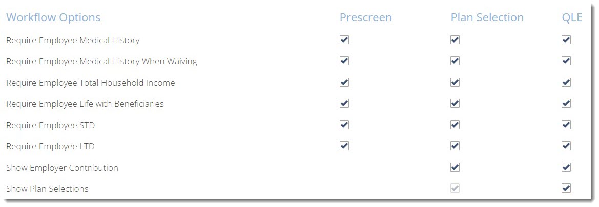 Screenshot showing the Workflow Options section