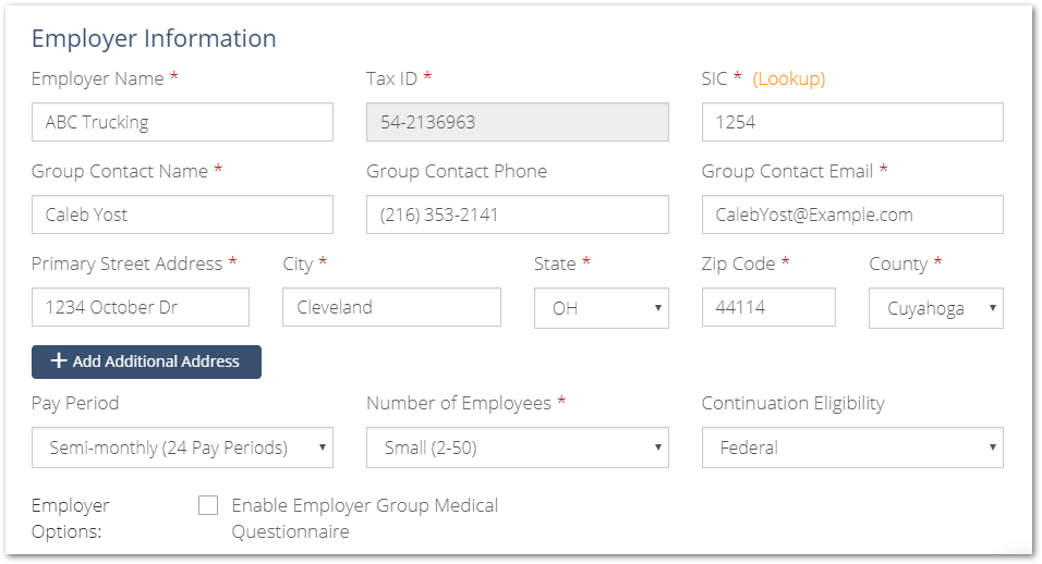 Screenshot showing the Employer Information page