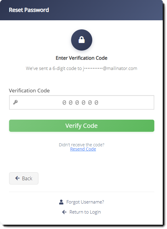 employee-account_reset-password_enter-verification-code.png